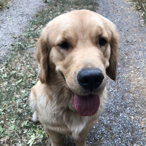 Meet your Posher, Rich